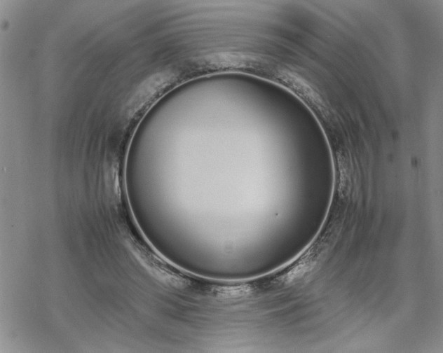 X0000070380398200606121258