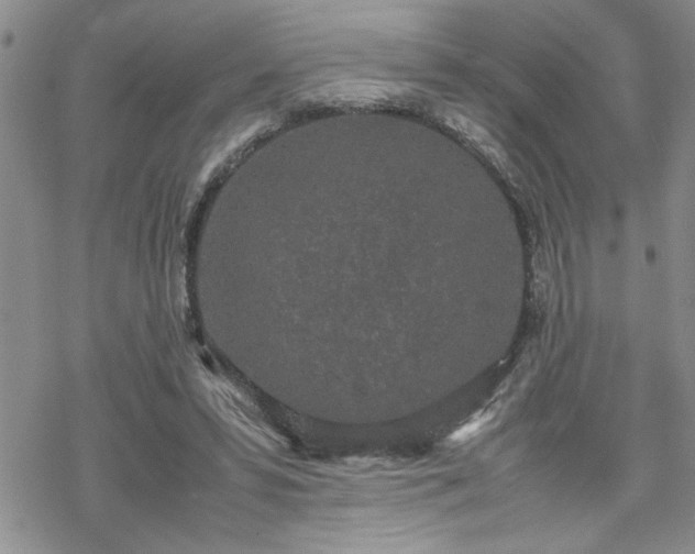 X0000070380399200606121258