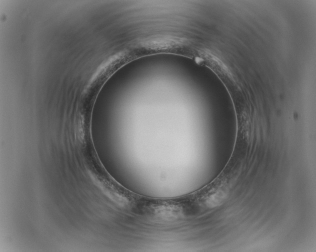 X0000070380400200606121258