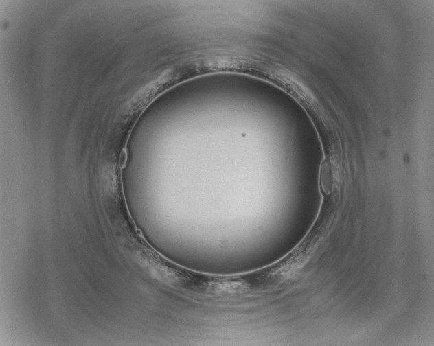 X0000070380401200606121258