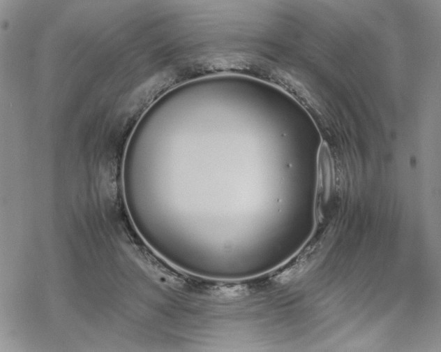 X0000070380402200606121258