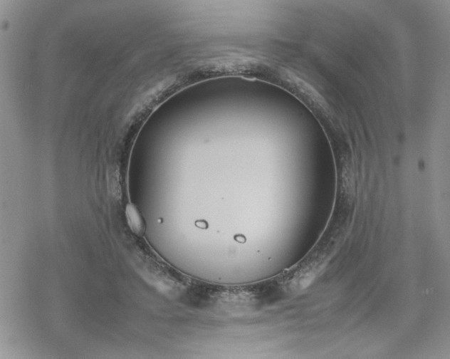 X0000070380403200606121258