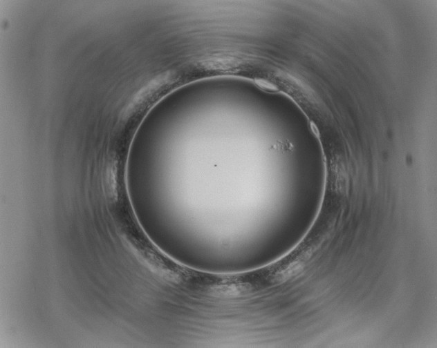 X0000070380404200606121258