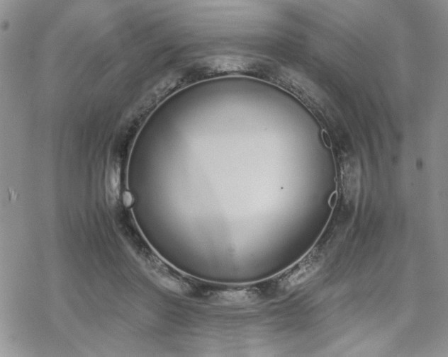 X0000070380406200606121258