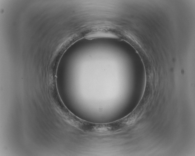 X0000070380407200606121258