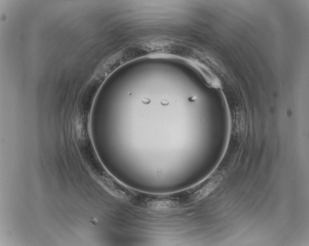 X0000070380408200606121258