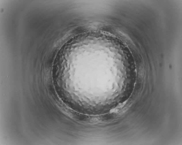 X0000070380409200606121258