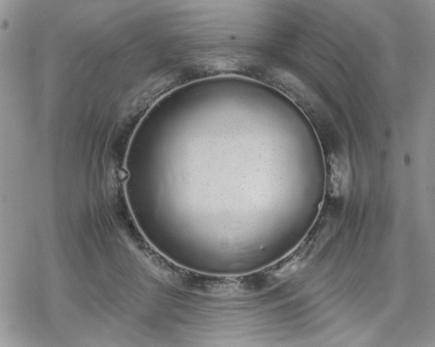 X0000070380410200606121257