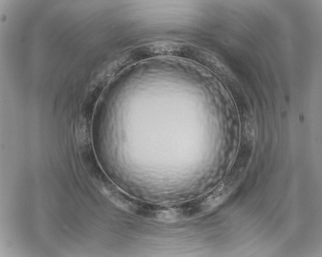 X0000070380411200606121257