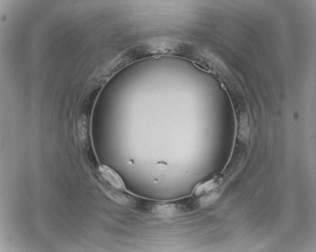 X0000070380413200606121257