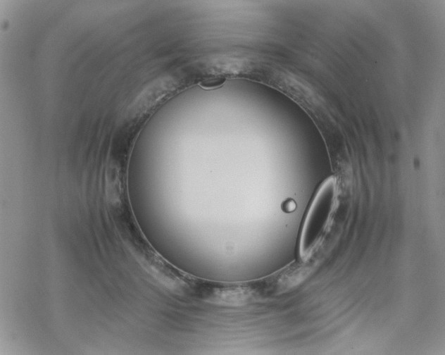 X0000070380414200606121257