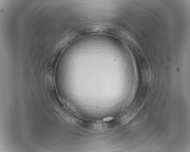 X0000070380415200606121257