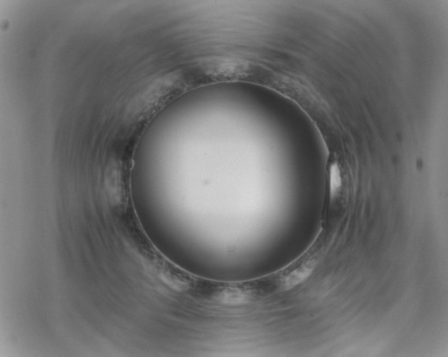 X0000070380416200606121257