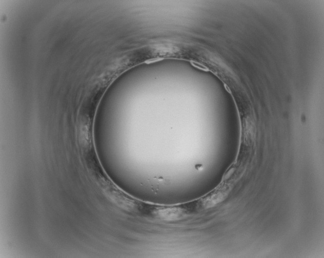 X0000070380417200606121257