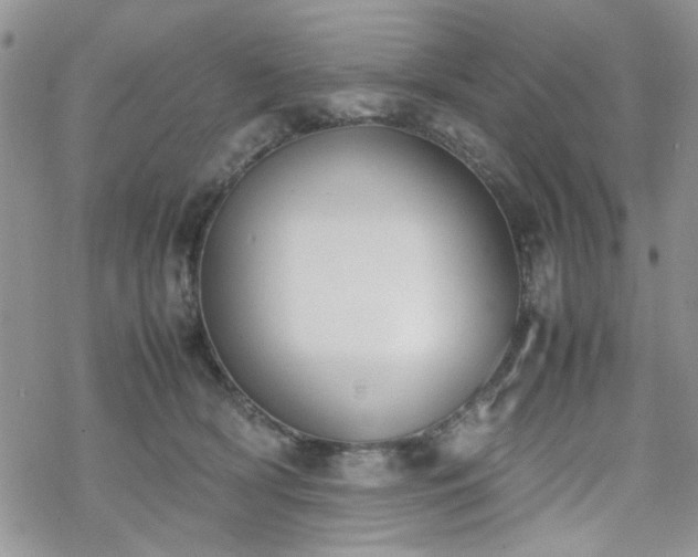 X0000070380418200606121257