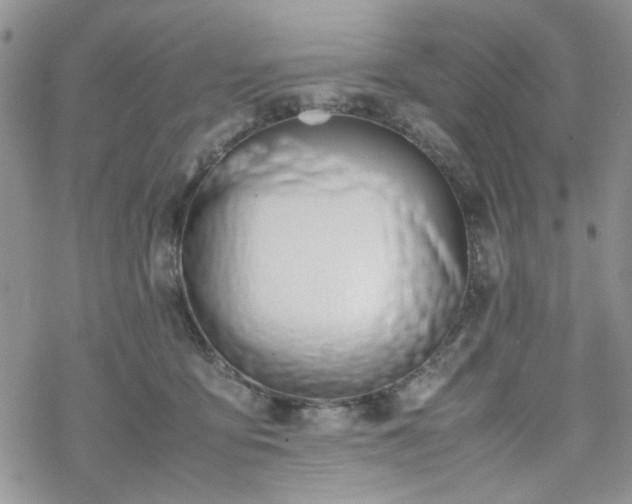 X0000070380419200606121257