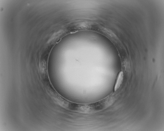 X0000070380423200606121257