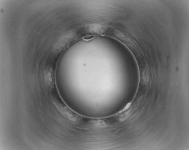 X0000070380424200606121257