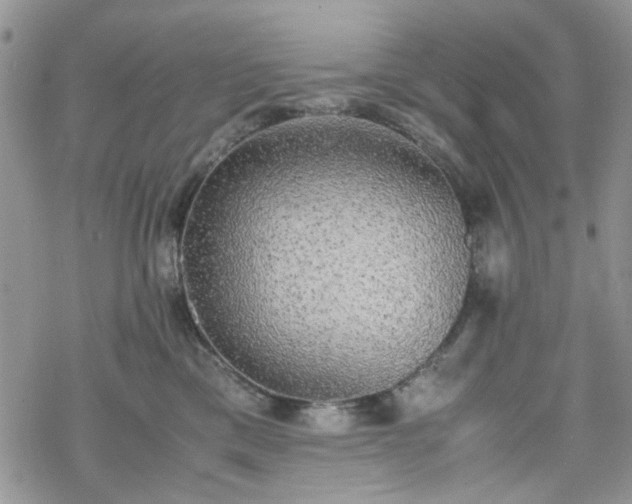 X0000070380425200606121257