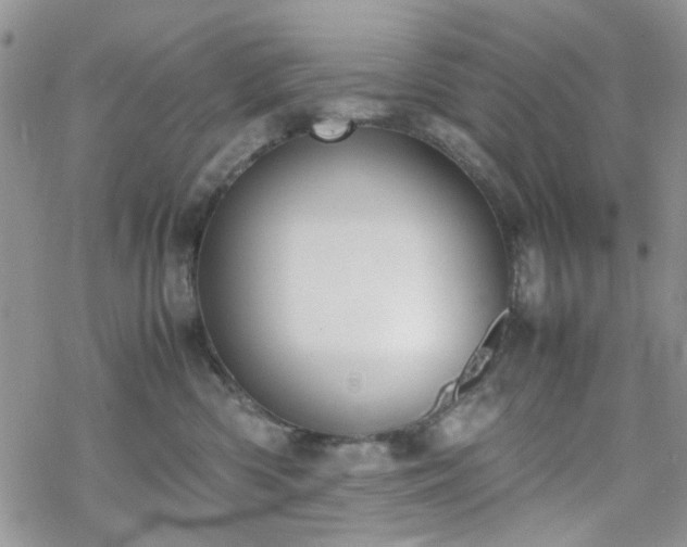 X0000070380426200606121257