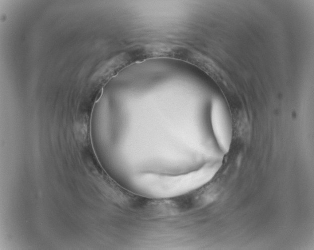 X0000070380427200606121257