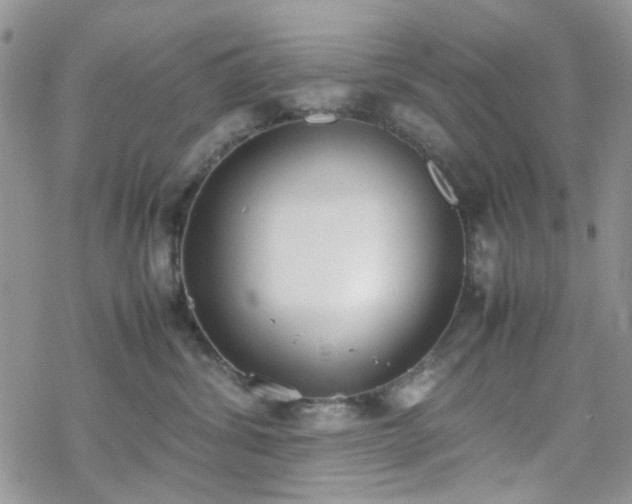 X0000070380428200606121257