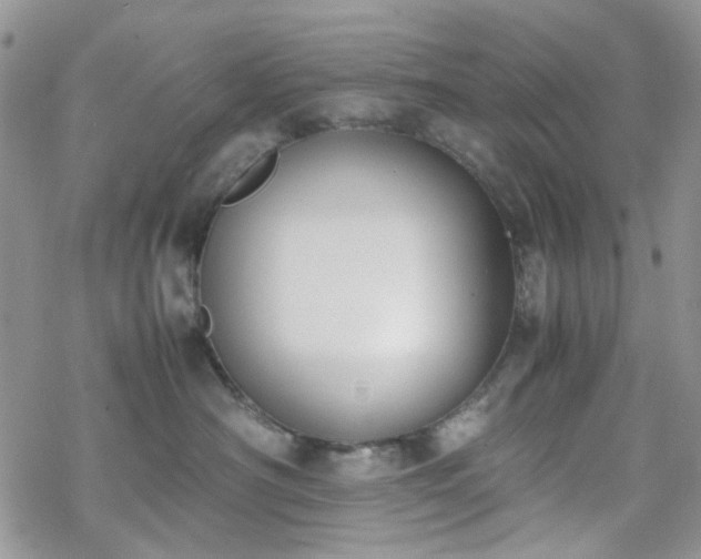 X0000070380430200606121257