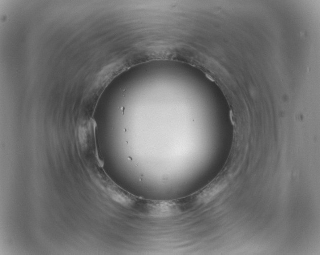 X0000070380432200606121257