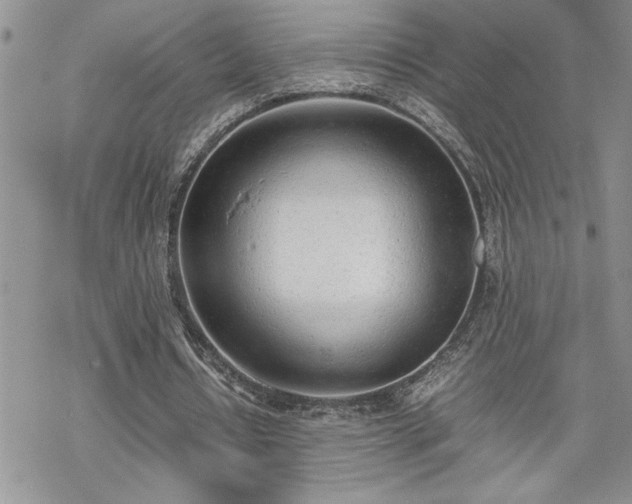 X0000070380434200606121256