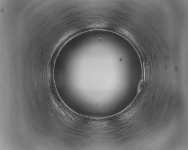 X0000070380435200606121256