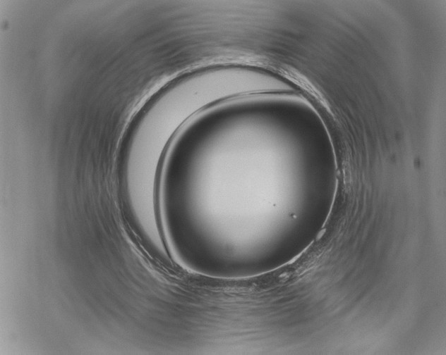 X0000070380436200606121256