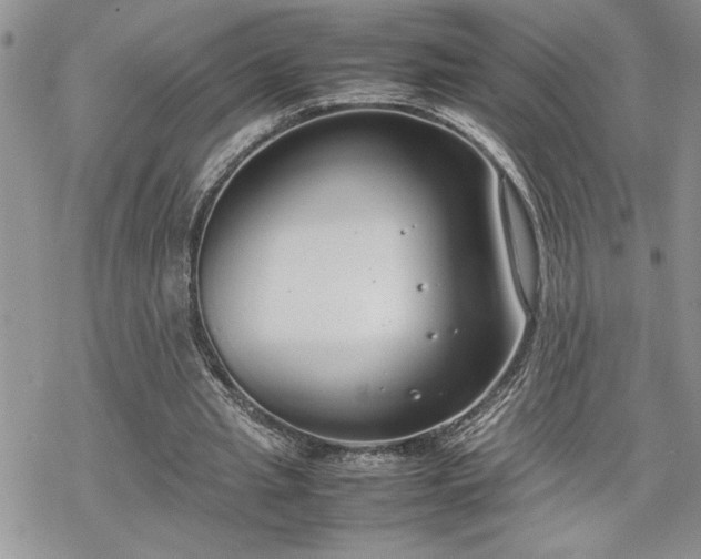 X0000070380437200606121256