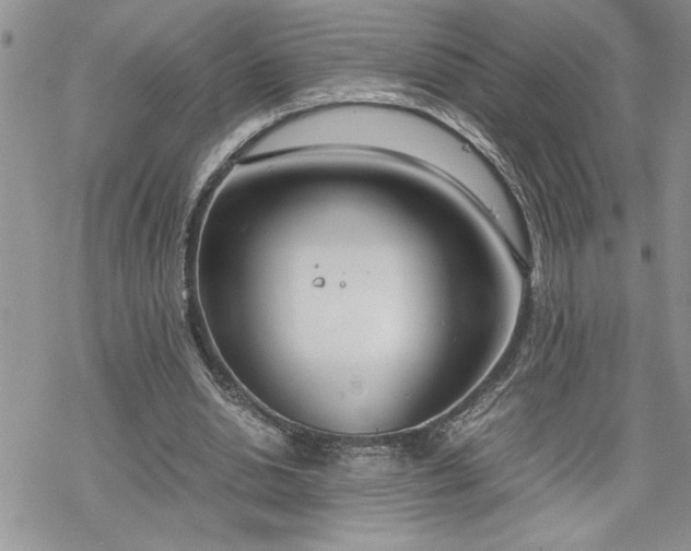 X0000070380438200606121256