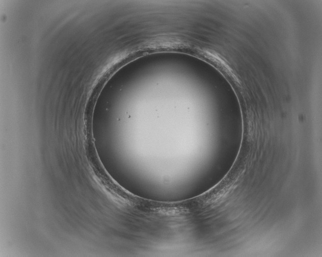 X0000070380439200606121256