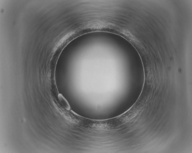 X0000070380440200606121256