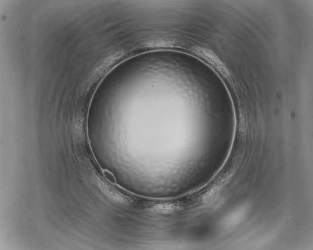 X0000070380441200606121257