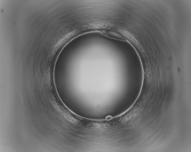 X0000070380442200606121257