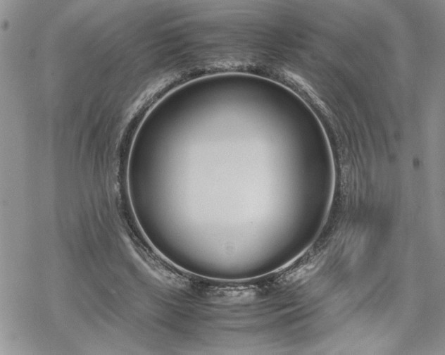 X0000070380443200606121257