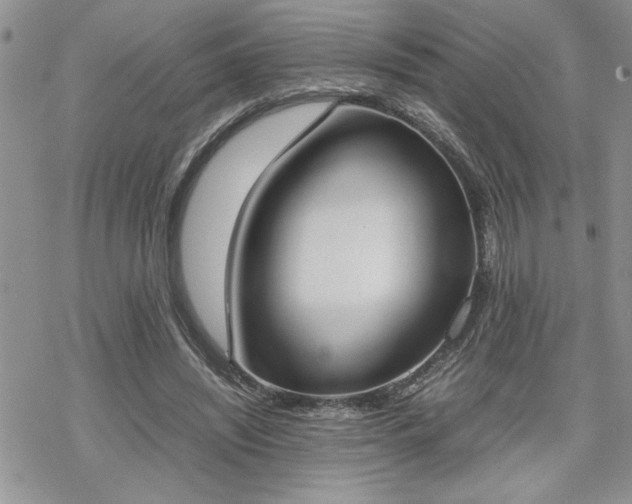 X0000070380444200606121257