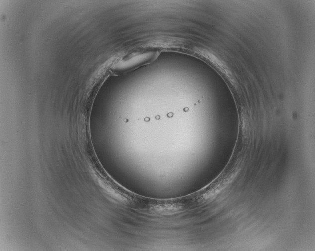 X0000070380445200606121257