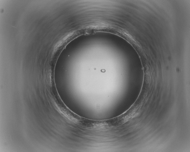 X0000070380446200606121257