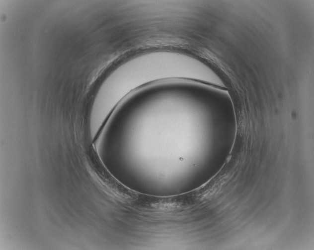 X0000070380448200606121257