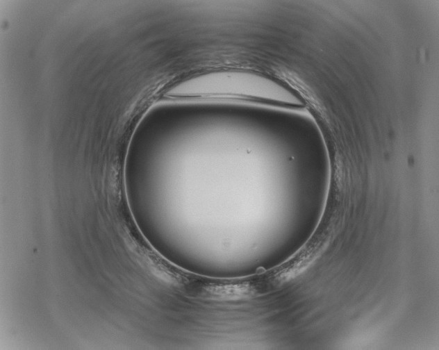 X0000070380449200606121257