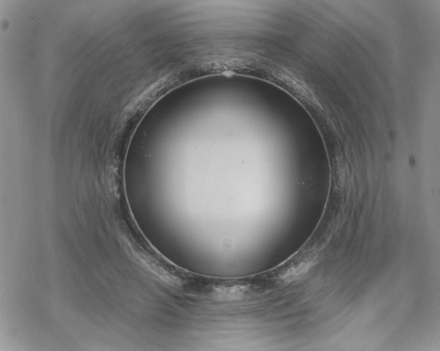 X0000070380450200606121257