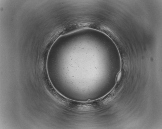 X0000070380451200606121257