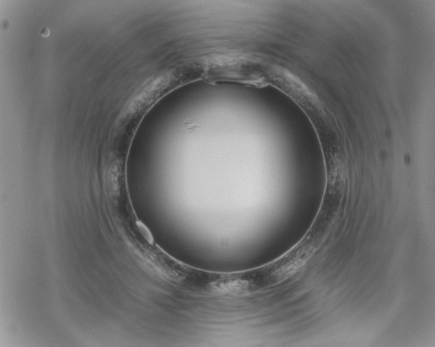 X0000070380452200606121257