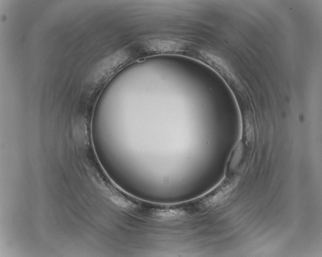 X0000070380453200606121257