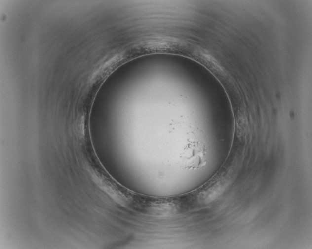 X0000070380454200606121257