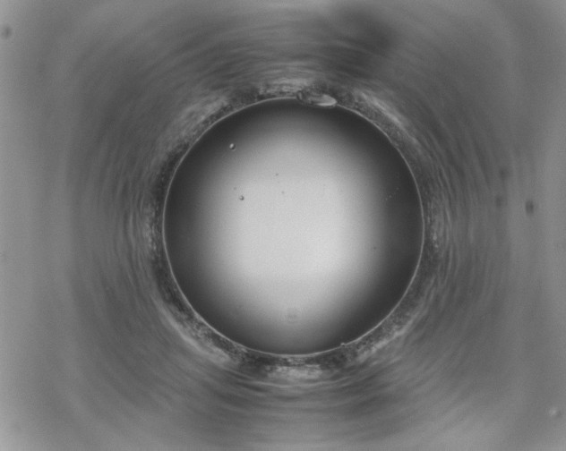 X0000070380455200606121257