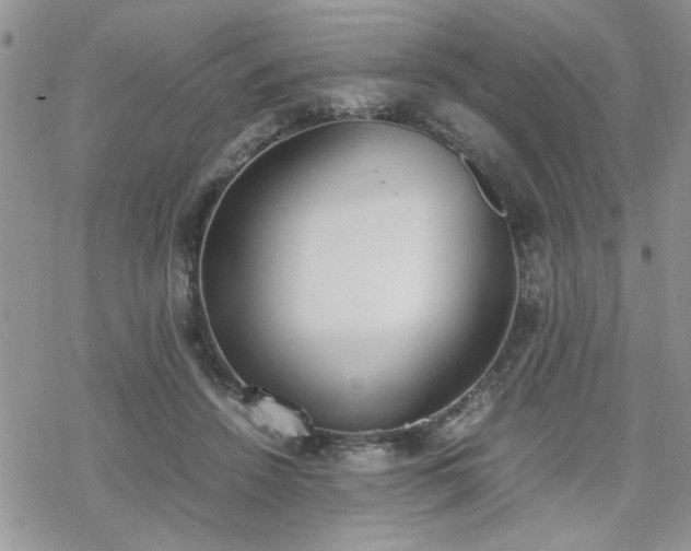 X0000070380456200606121257